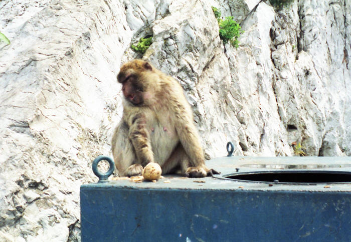 Gibraltar