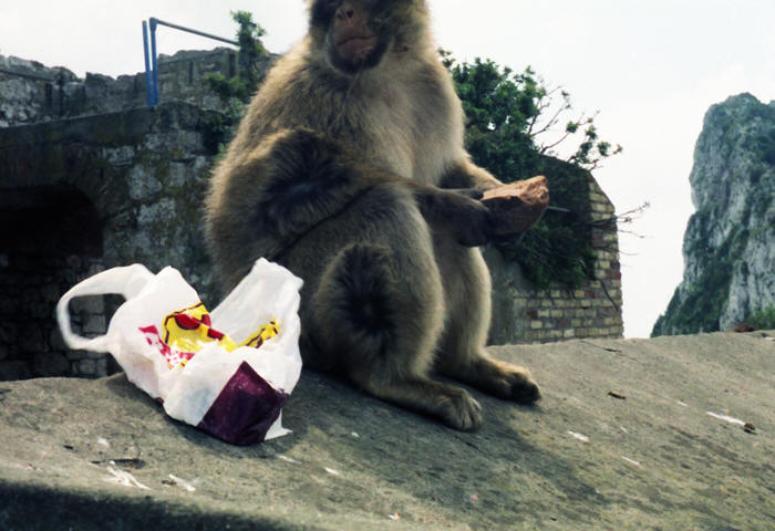 Gibraltar