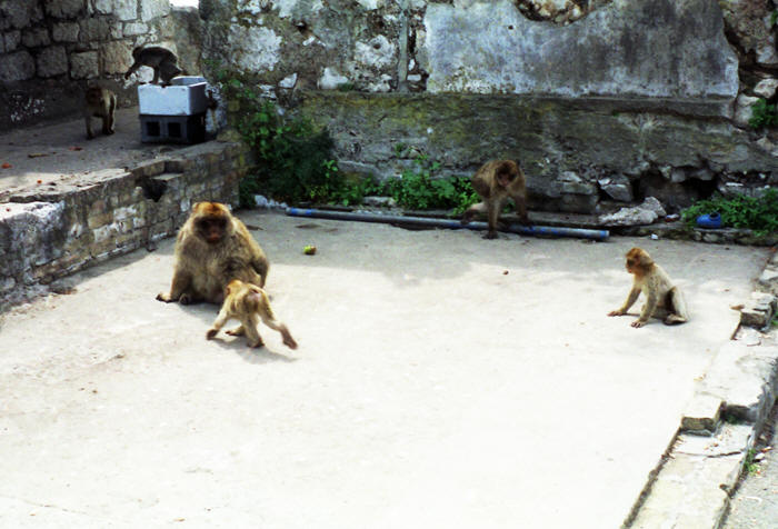 Gibraltar