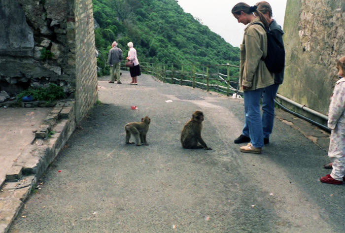 Gibraltar