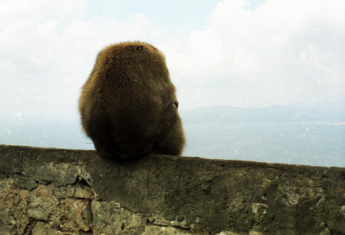 Gibraltar