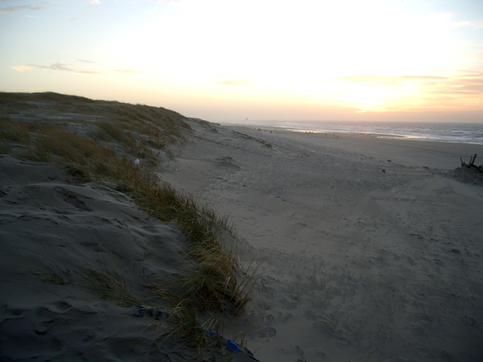 Amsterdam, Rotterdam, Den Haag, Den Helder, Texel, De Koog