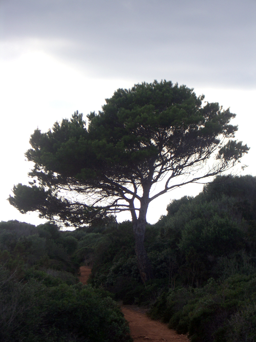 Menorca