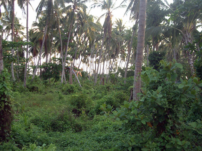 Punta Cana