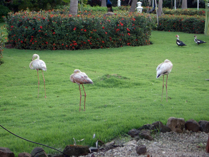 Punta Cana