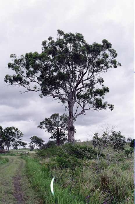 Australien: Higlands