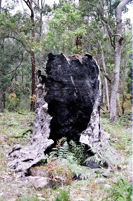 Australien: Higlands