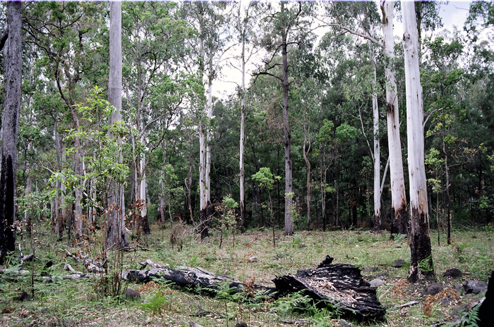 Australien: Higlands