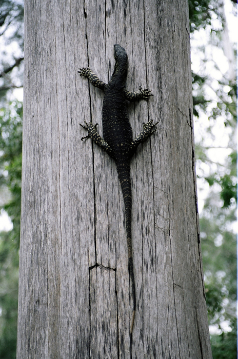 Australien: Higlands