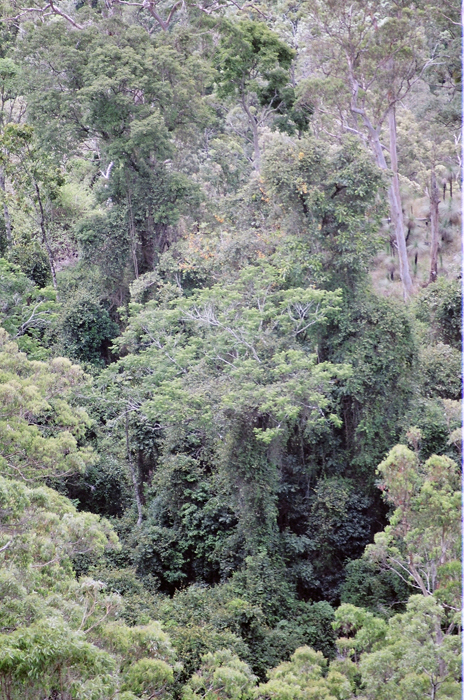 Australien: Higlands