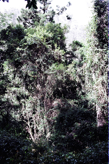 Australien: Higlands