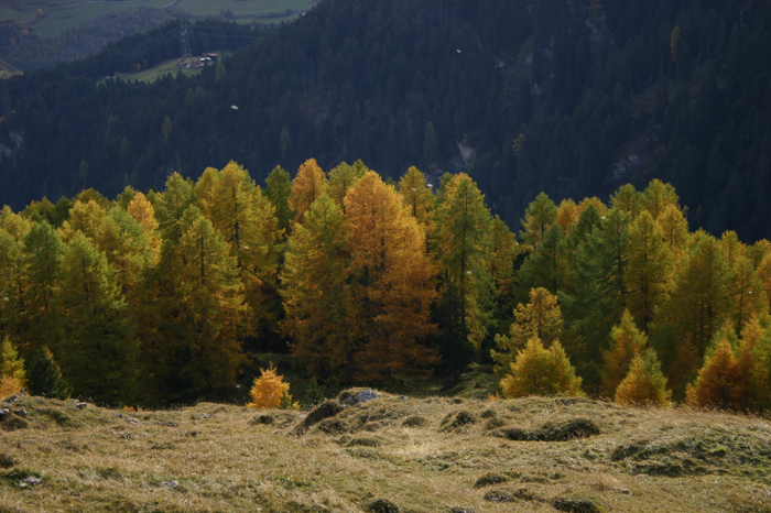Schweiz: Tusis