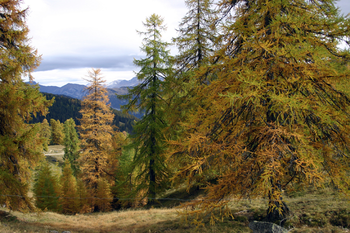 Schweiz: Tusis