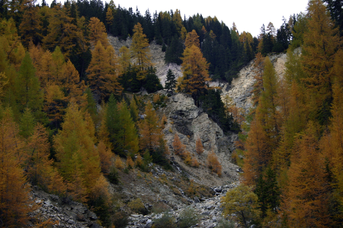 Schweiz: Tusis