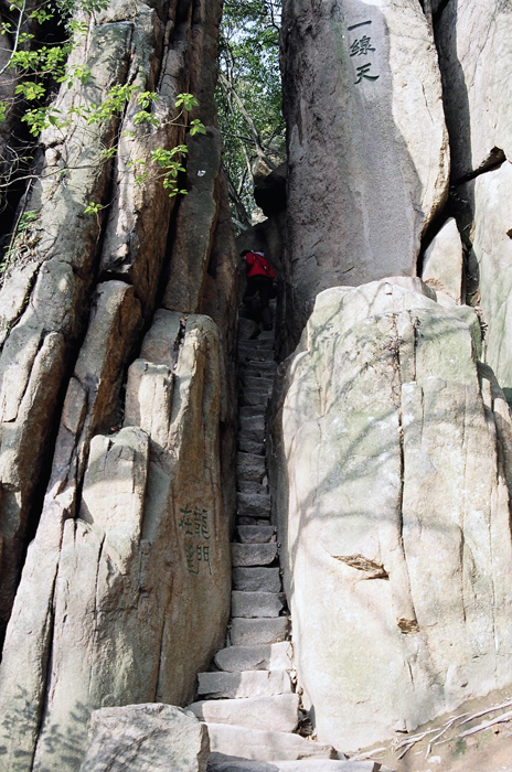 China: Timping