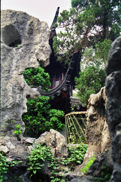 China: Suzhou Gärten: Lionwood 2006 - 2007