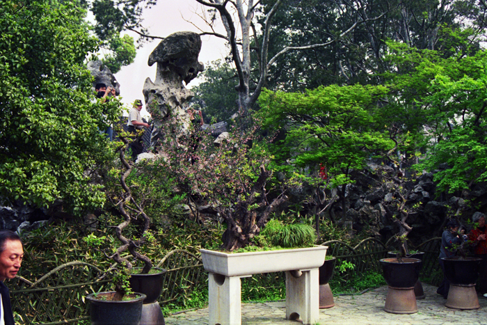 China: Suzhou Gärten: Lionwood 2006 - 2007