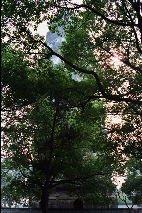 China: Suzhou Gärten: Tigerhill 2006 - 2007