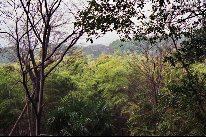 China: Suzhou Gärten: Tigerhill 2006 - 2007