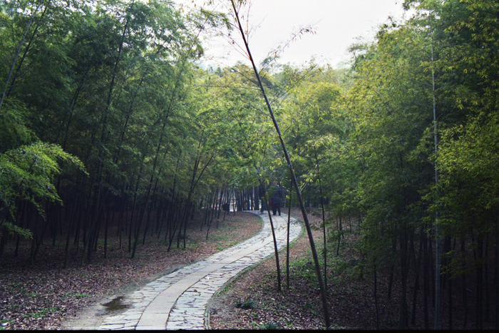 China: Suzhou Gärten: Tigerhill 2006 - 2007
