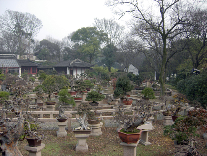 China: Suzhou Gärten: Tigerhill 2006 - 2007