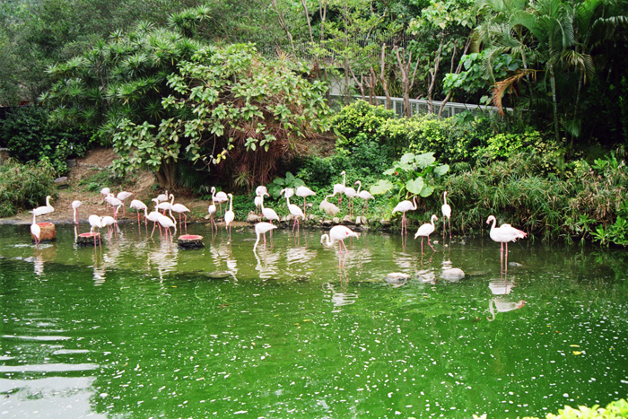 China: Hongkong 2007