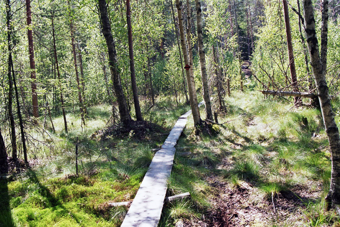 Finnland: Helsinki 2008
