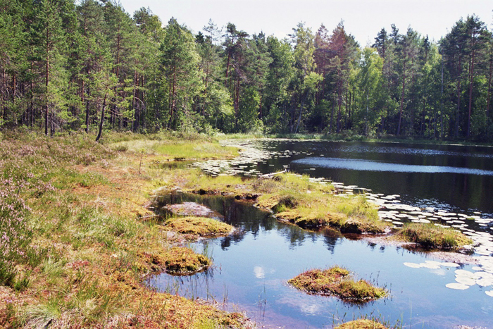 Finnland: Helsinki 2008
