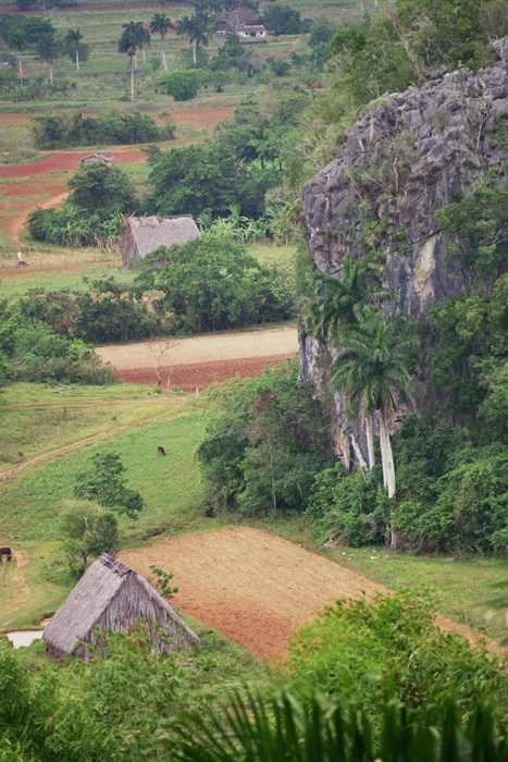 Kuba: Vinales 2008