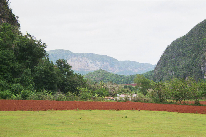 Kuba: Vinales 2008