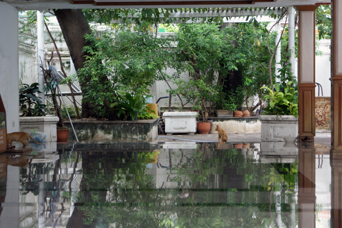 Thailand: Bangkok 2009