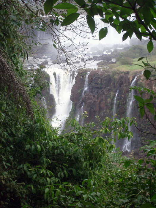 Brasilien: Iguazu 2009
