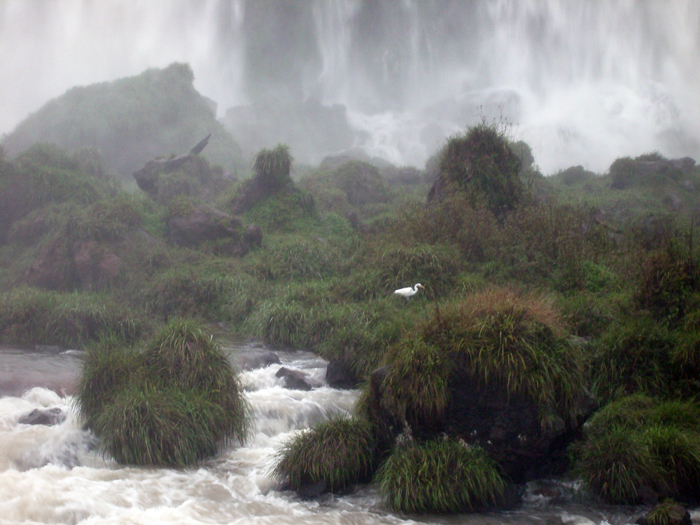 Brasilien: Iguazu 2009

