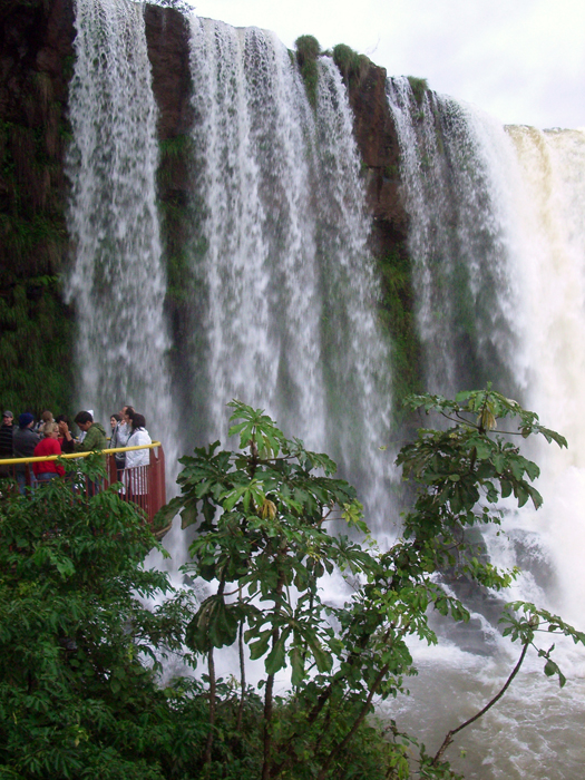 Brasilien: Iguazu 2009
