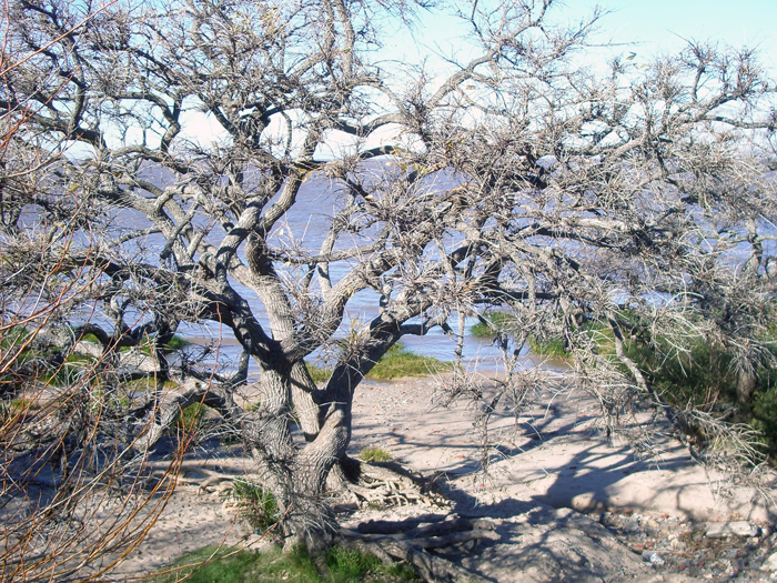Uruguay: Colonia del Sacramento 2009