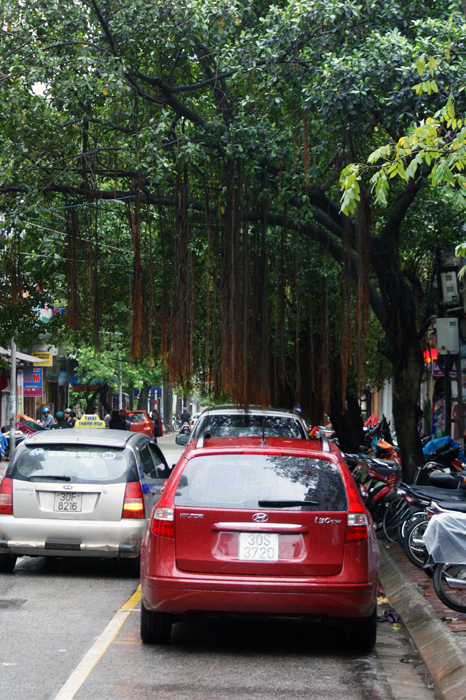 Vietnam: Hanoi 2009
