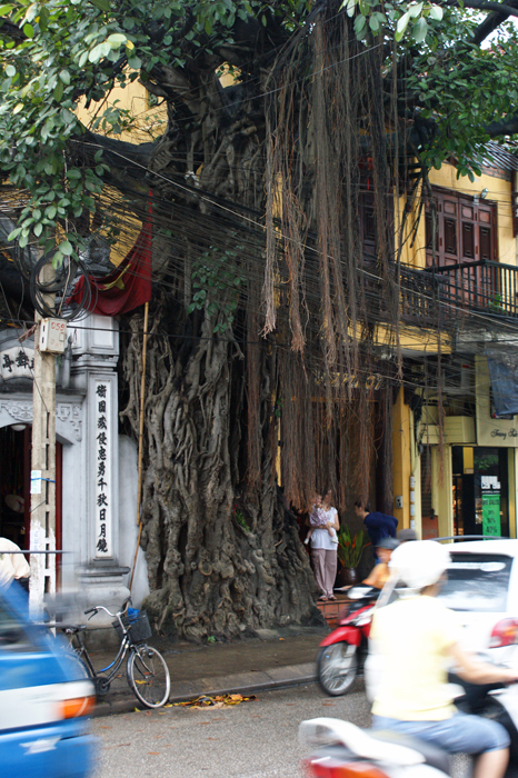 Vietnam: Hanoi 2009
