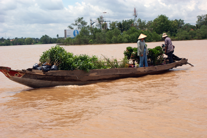 Vietnam: Mekong Delta 2009