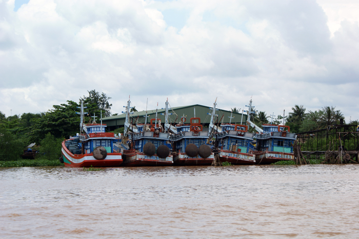 Vietnam: Mekong Delta 2009