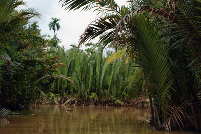 Vietnam: Mekong Delta 2009