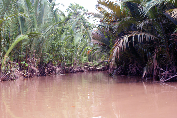 Vietnam: Mekong Delta 2009