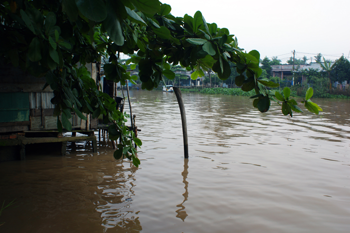 Vietnam: Mekong Delta 2009