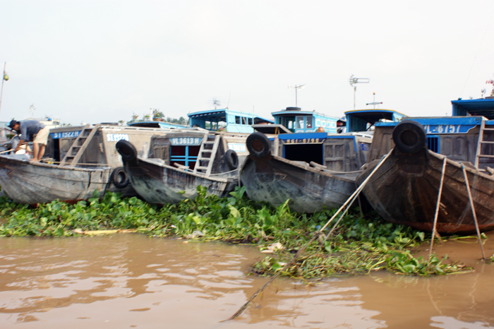 Vietnam: Mekong Delta 2009