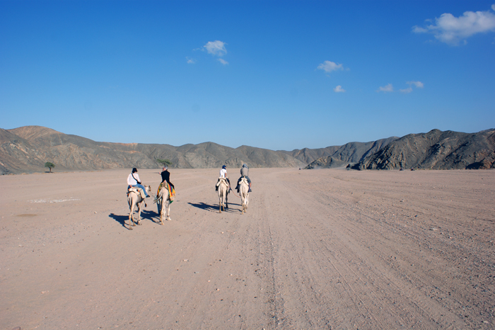 Ägypten: Marsa Alam 2010