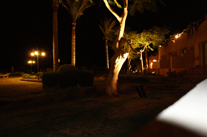 Ägypten: Marsa Alam 2010