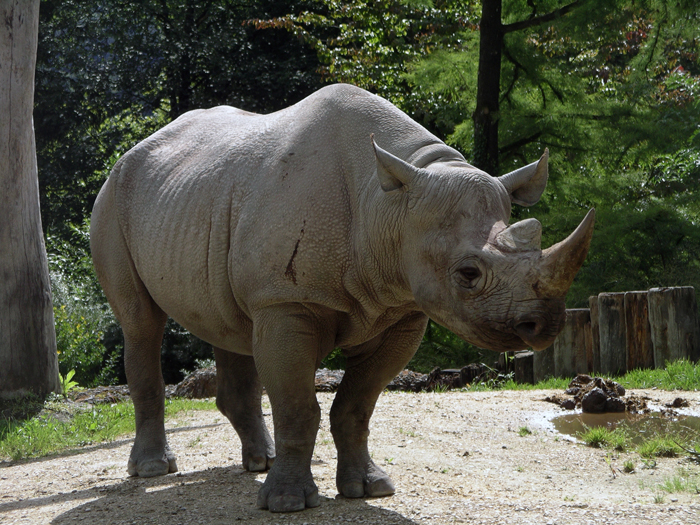 Schweiz: Zürich 2010