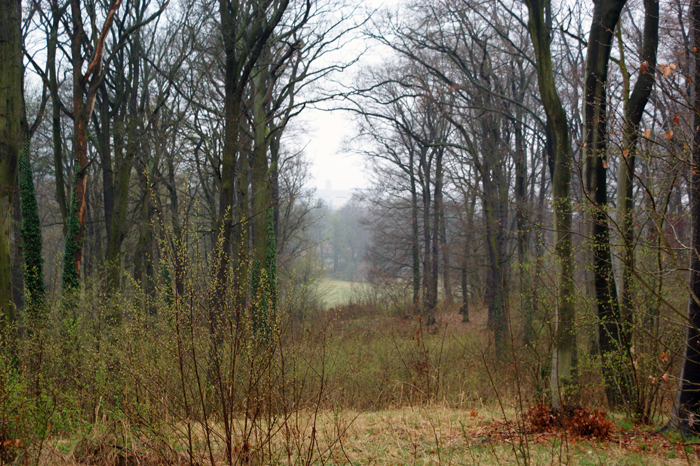 Deutschland: Pücklerpark Babelsberg 2010 - 2011
