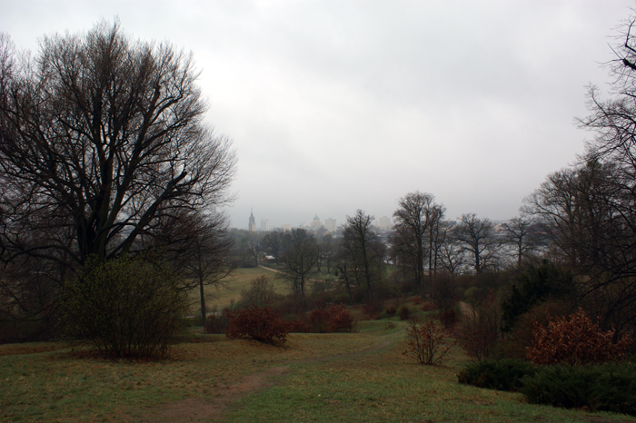 Deutschland: Pücklerpark Babelsberg 2010 - 2011
