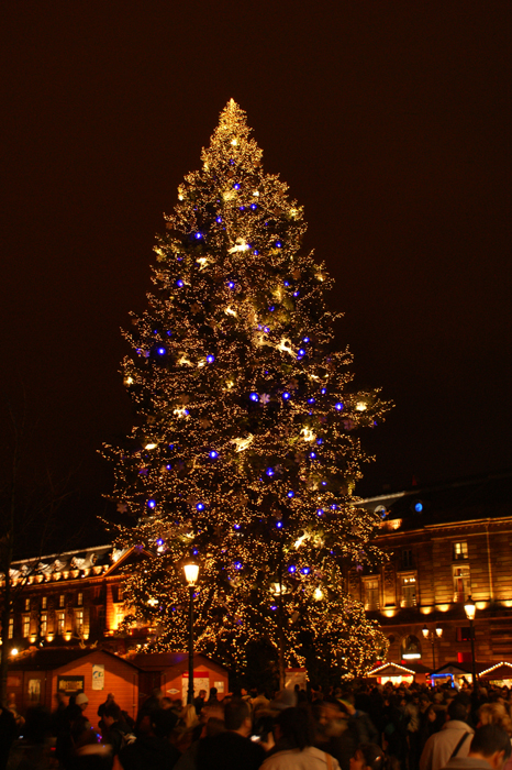 Frankreich: Strassbourg 2011