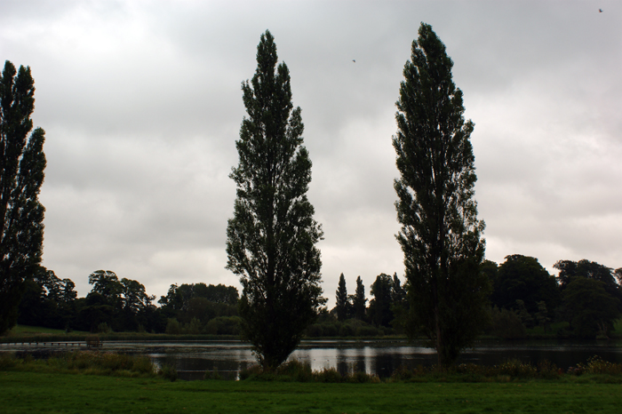 England: Englischer Landschaftsgarten, Blenheim 2012
